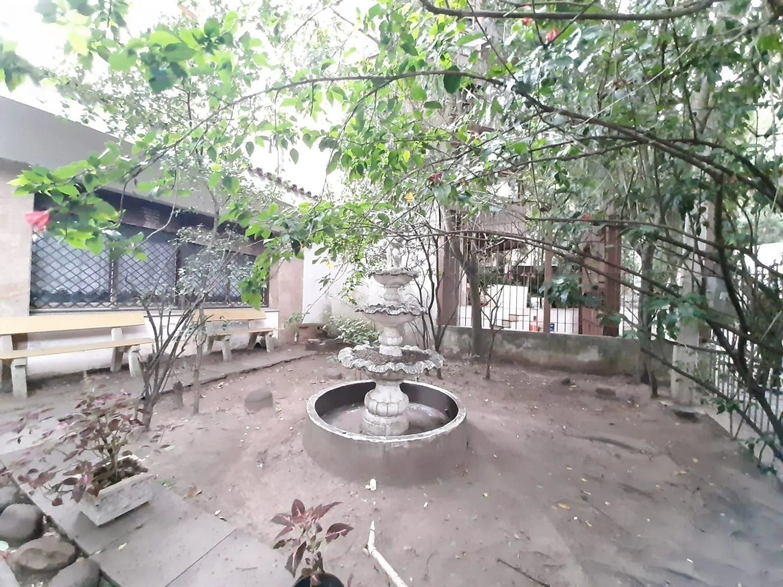 Imagem Casa em Floresta