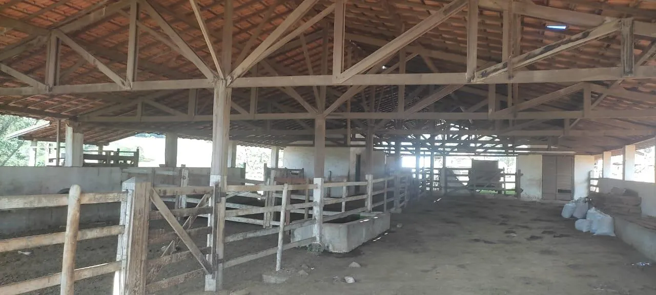 Imagem Vendo uma excelente fazenda na região de Itaúna/MG 212 hectares de terra