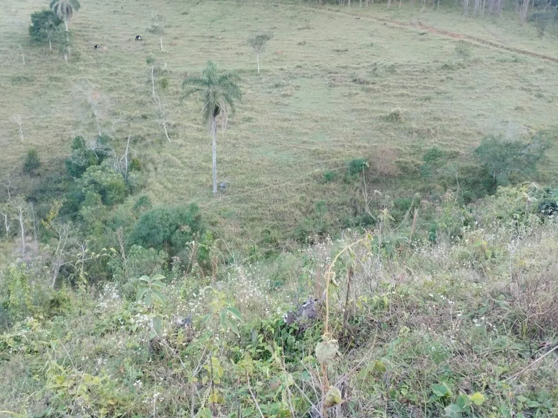 Imagem 4 Alqueires à Venda em Piracaia ? Ótima Localização!