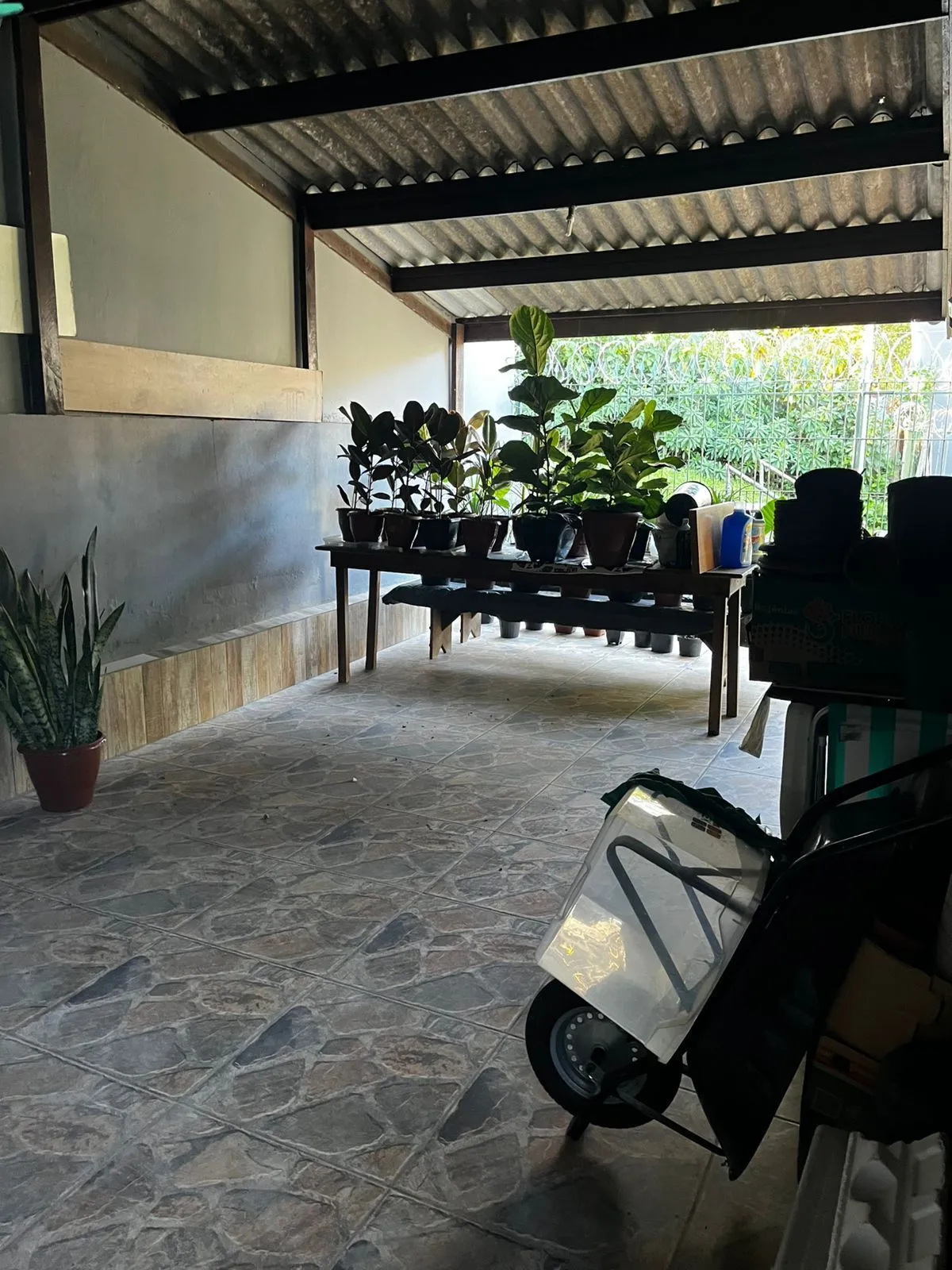 Imagem Terreno de 326m², com 02 casas de Madeira em excelentes condições, Passo d'areia