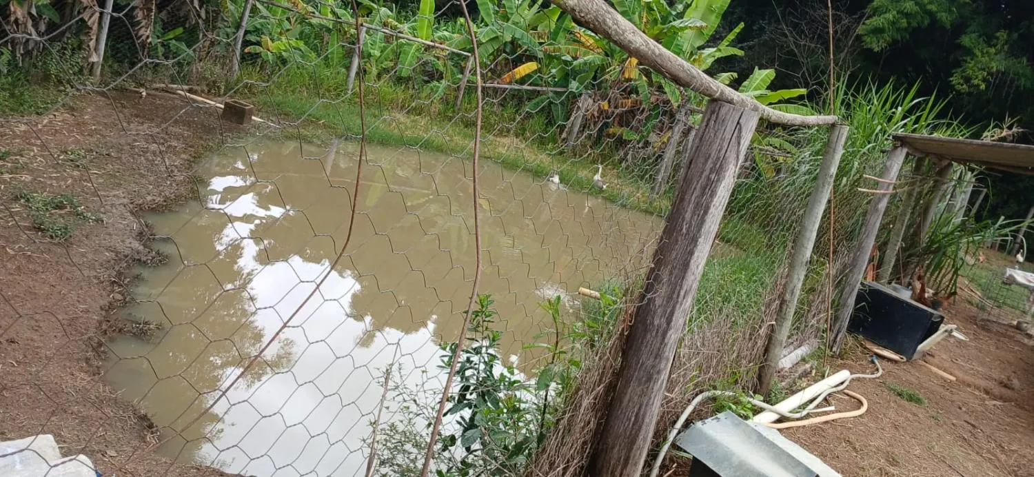 Imagem SÍTIO ESPETACULAR À VENDA EM PASSA TEMPO/MG -- 5,9 hectares de terra