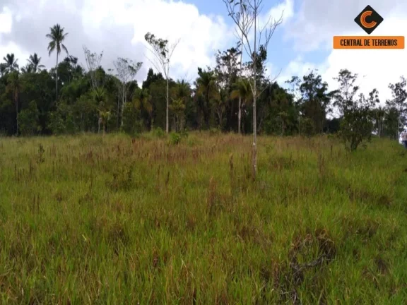 Imagem TERRENO NA VIA PARAFUSO