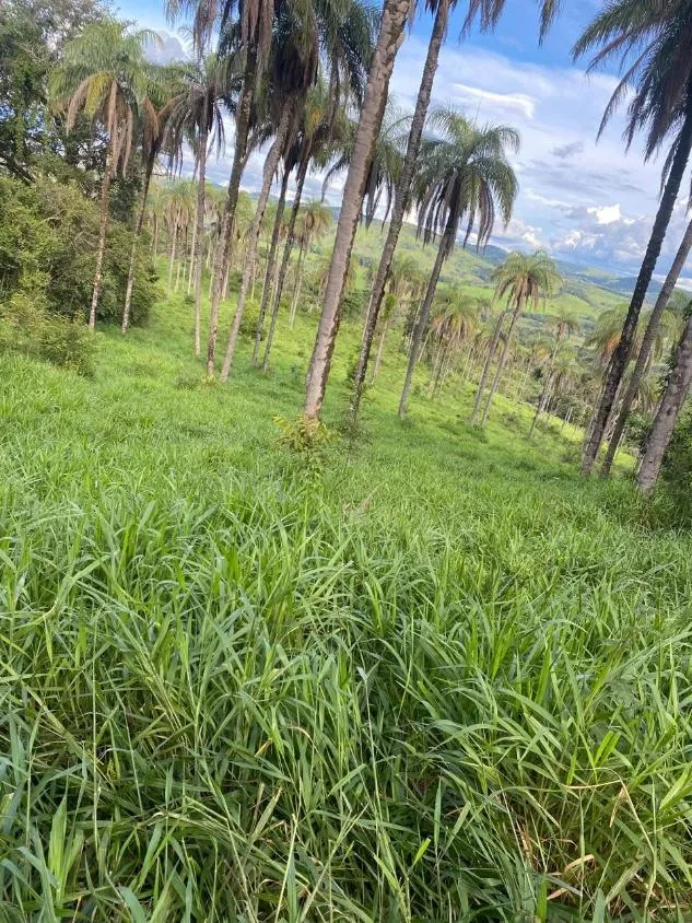 Imagem Excelente Terreno à Venda em Itaguara/MG: 19 Hectares com Fácil Acesso à BR-381