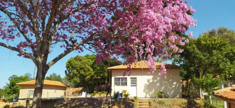 Imagem CHÁCARA C/ PISCINA A VENDA - RECREIO DA BOA VISTA