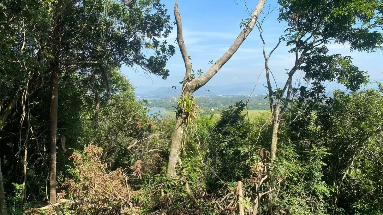 Imagem Terreno à venda na Praia do Rosa, Imbituba-SC, com 3.418m²: oportunidade de investimento!