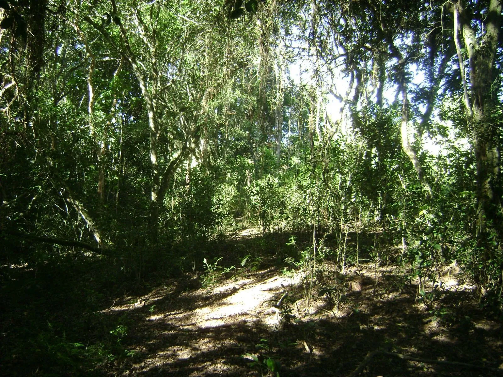 Imagem Sítio em Itapuã