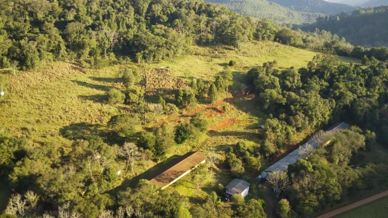 Imagem Área Agrícola para Venda em Ipumirim, Centro