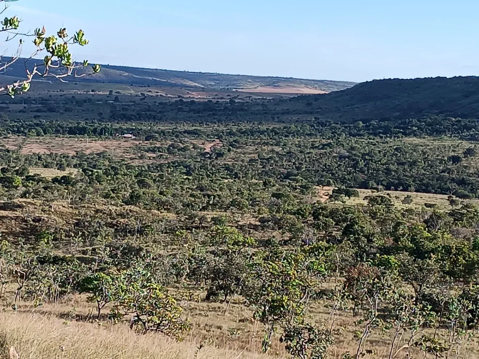 Imagem Fazenda à Venda, 247 HA em Samambaia Sul - Brasília