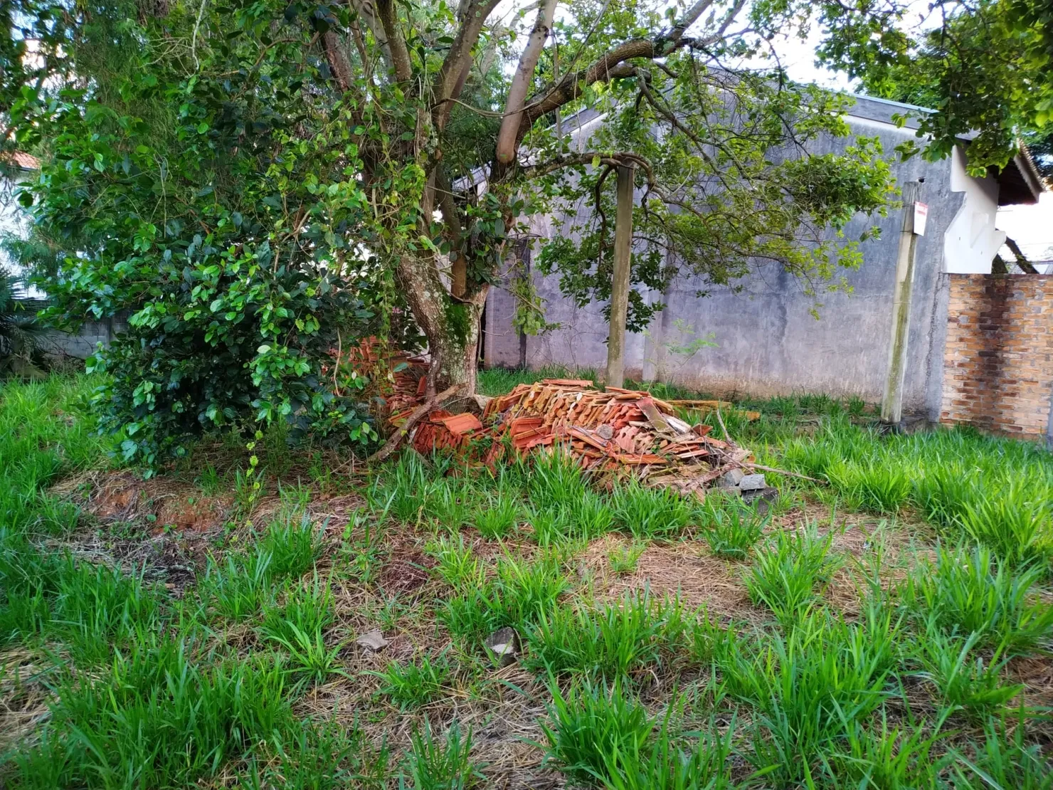 Imagem Terreno à venda 629M², Centro, Pindamonhangaba - SP