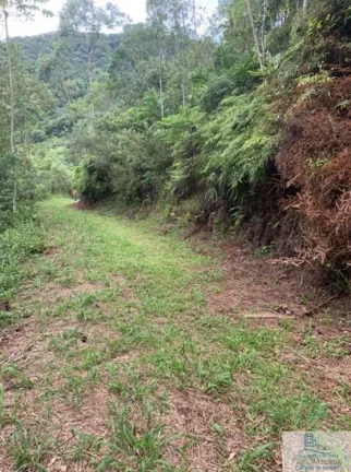 Imagem Rural - Chácara, para Venda em Rio dos Cedros/SC