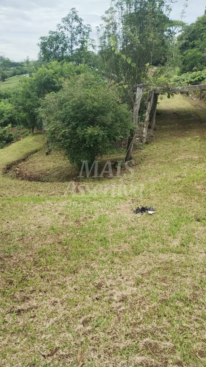 Chácara para venda em Santo Antônio da Patrulha Roça Grande
