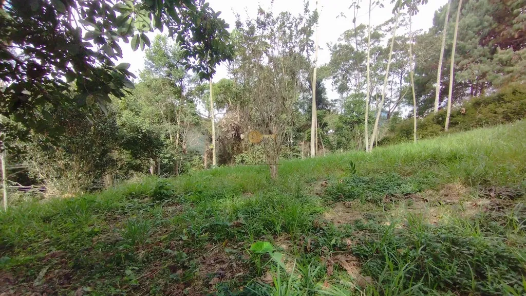Imagem Terreno em Condomínio para Venda em Teresópolis / RJ no bairro Green Valley