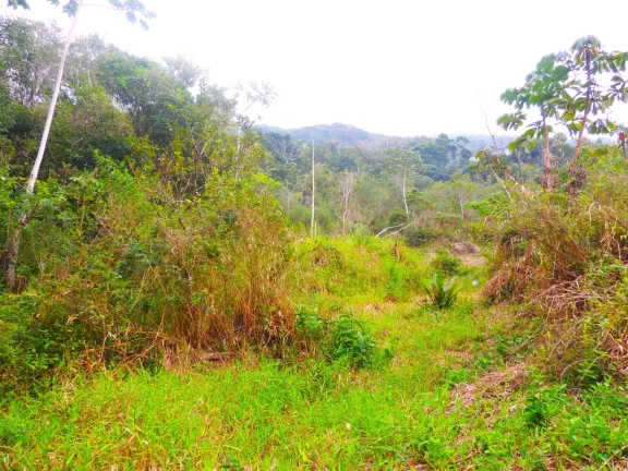 Imagem Terreno à venda em Garopaba-SC, bairro Macacu, 46.578,61m², com vista para Lagoa e Mar!