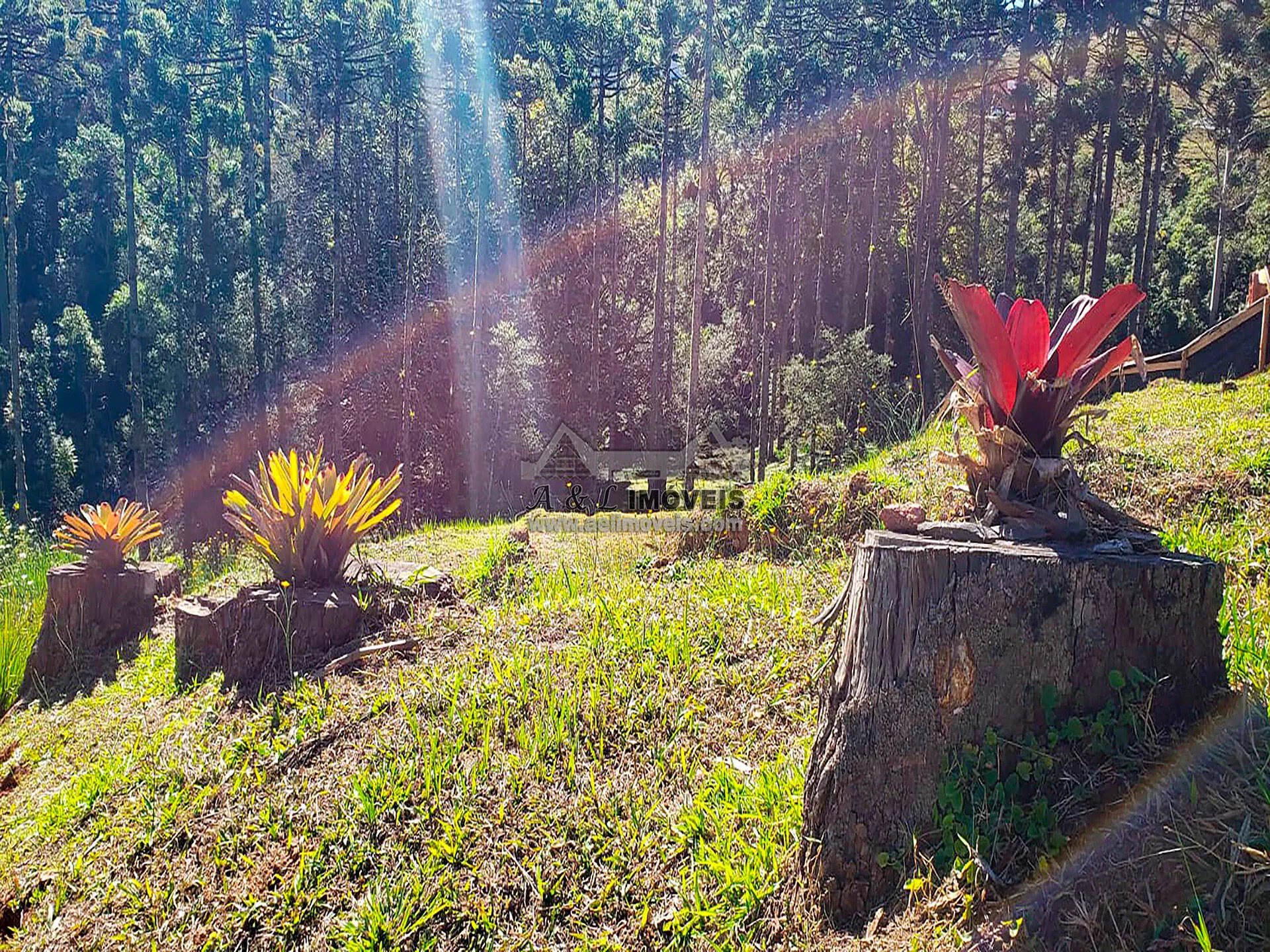Imagem Terreno à venda em Campos do Jordão - Em loteamento de alto padrão