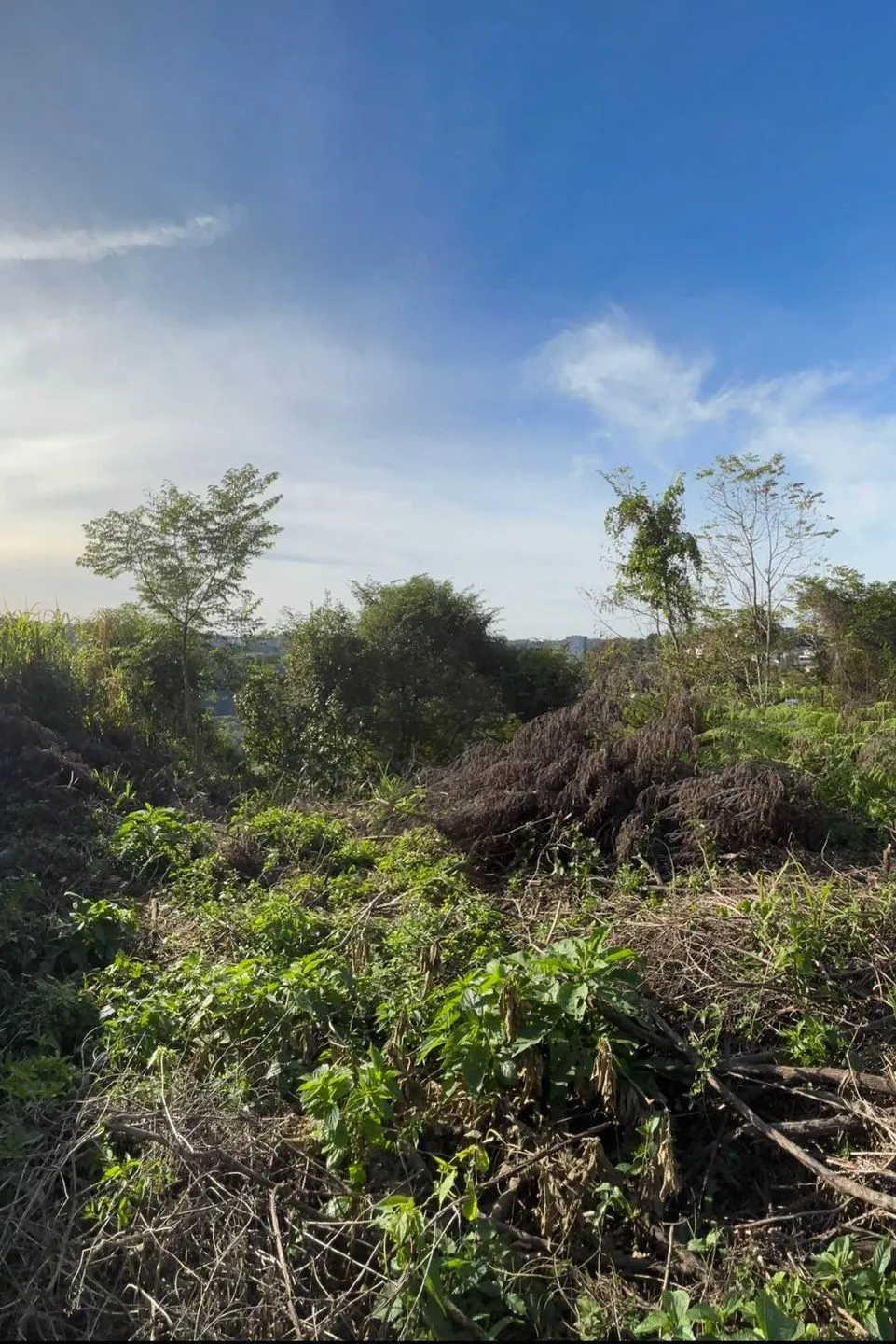 Imagem Terreno à venda em Caxias do Sul, Salgado Filho , 393m2