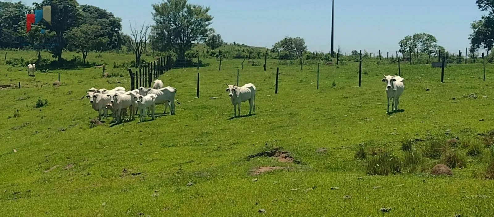 Sítio à venda em Centro, Guareí - SP