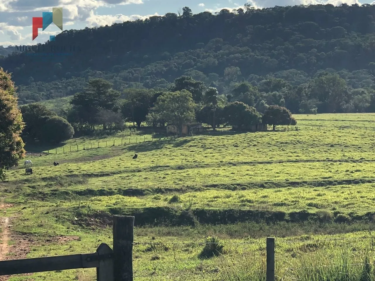 Imagem Fazenda em São Carlos SP