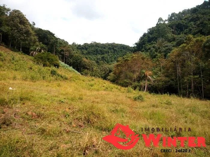 Imagem Chácara de 12,5 hectares em Bom Princípio.