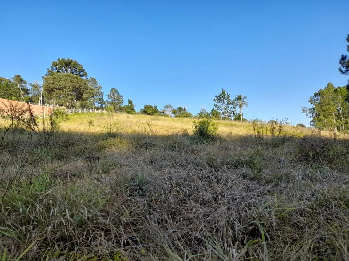 Imagem TERRENO - BAIRRO DA RESSACA - IBIUNA