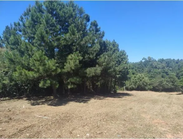 Imagem Oportunidade Única! Terreno Residencial com 1.943m² à Venda em Viamão, RS