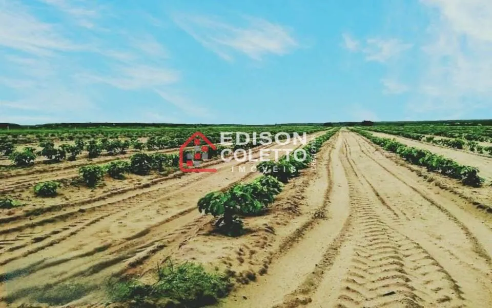 Imagem Fazenda/Sitio, Residencial/Comercial para Venda, Centro, Caraiva