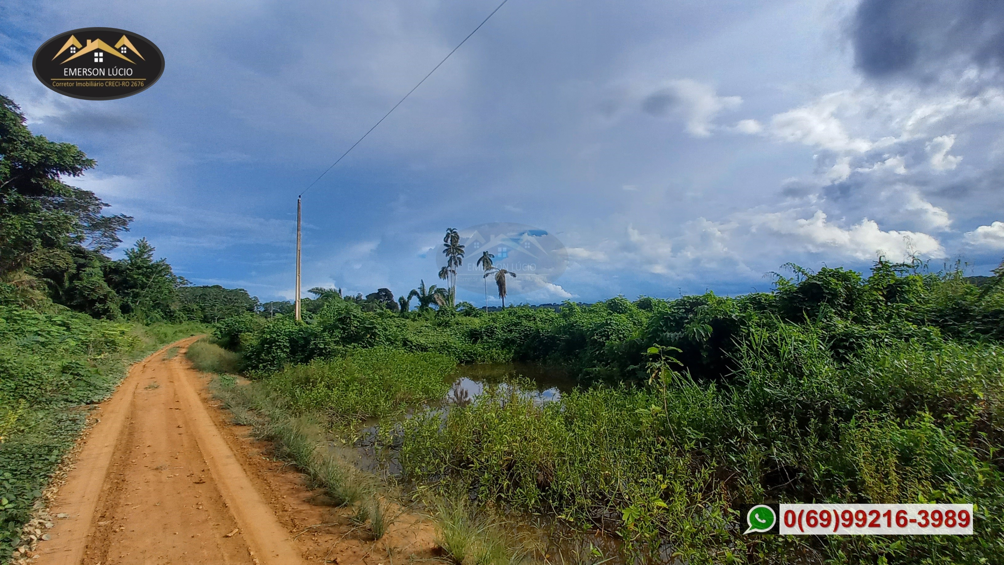 Imagem Fazenda à Venda, 50 HAem Rio Madeira - Porto Velho