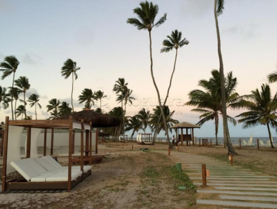 Imagem Apartamento com 4 Quartos à Venda, 240 m² em Muro Alto Ipojuca - Ipojuca