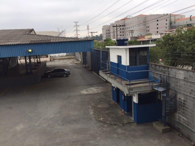 Foto do imóvel: Galpão para Alugar, 3.247 m² em Vila Ribeiro de Barros - São Paulo