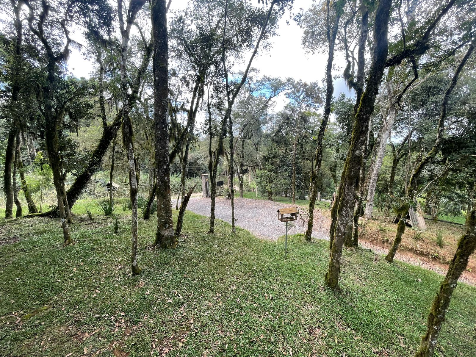 Foto do imóvel: Chácara com 3 Quartos à Venda, 6.800 m² em Salgadinho - Campo Largo