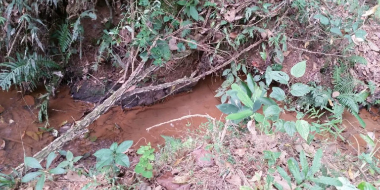 Imagem Chácara com 1 Quarto à Venda, 2.600 m² em Centro - Santa Isabel