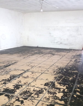 Imagem Casa com 1 Quarto à Venda, 187 m²em Vila Anglo Brasileira - São Paulo