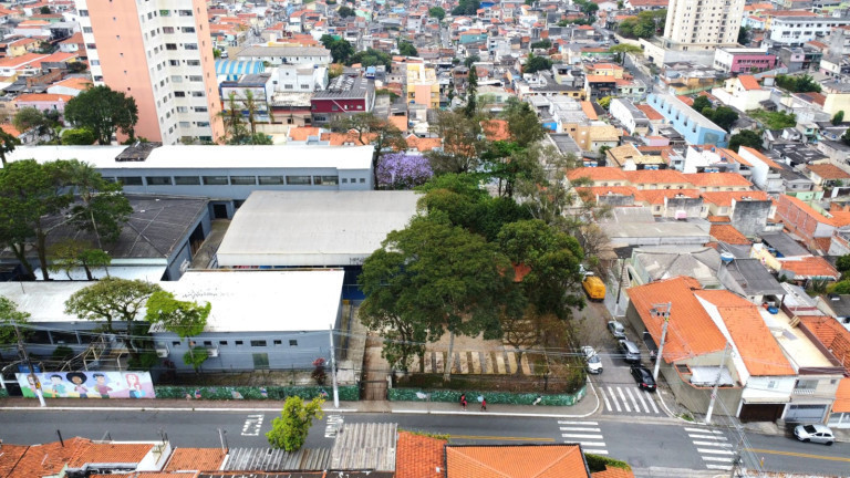 Imagem Casa com 3 Quartos à Venda,  em Vila Isolina Mazzei - São Paulo