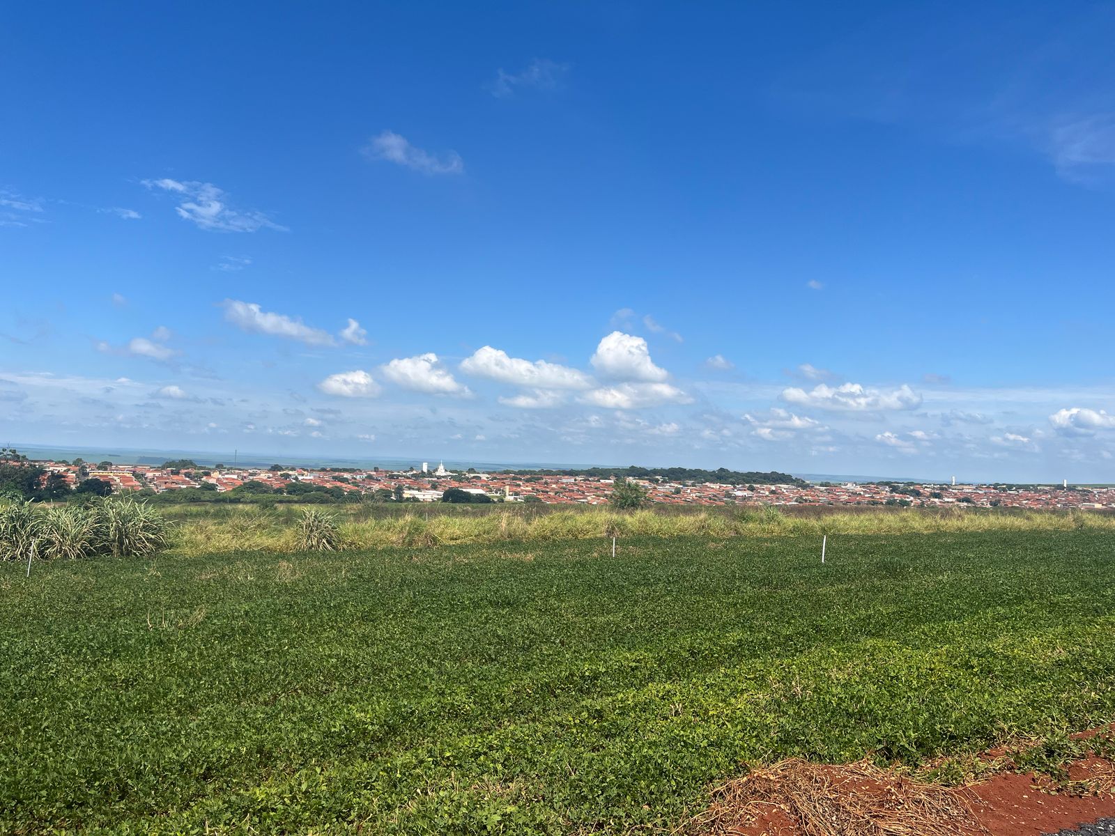 Imagem Terreno à Venda, 250 m² em Monte Carmelo - Cravinhos