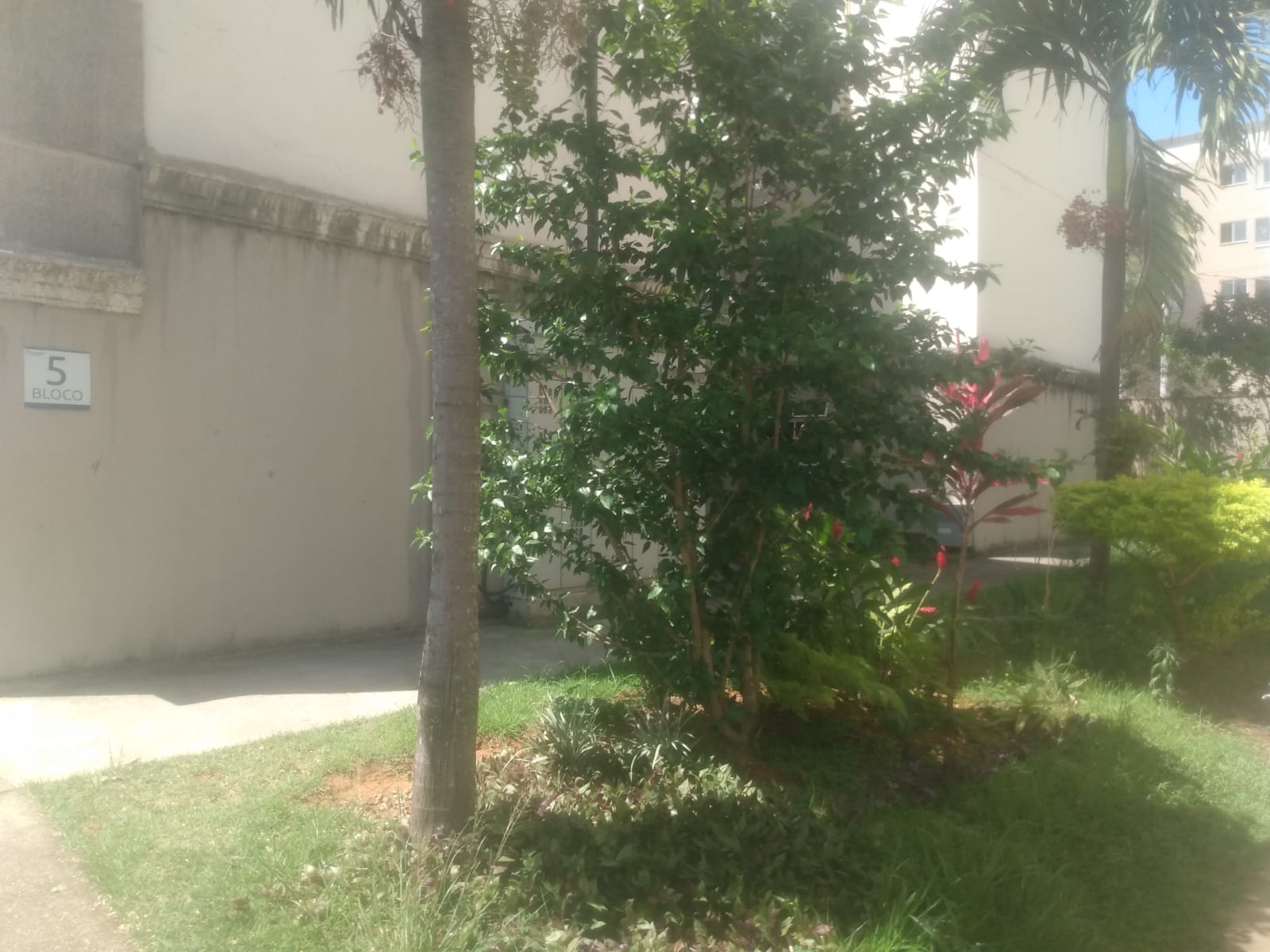 Imagem Apartamento com 2 Quartos à Venda, 47 m²em Vila São João - Queimados