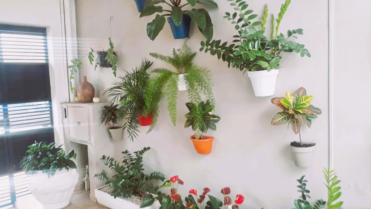 Imagem Casa com 5 Quartos à Venda, 380 m²em Brooklin Paulista - São Paulo