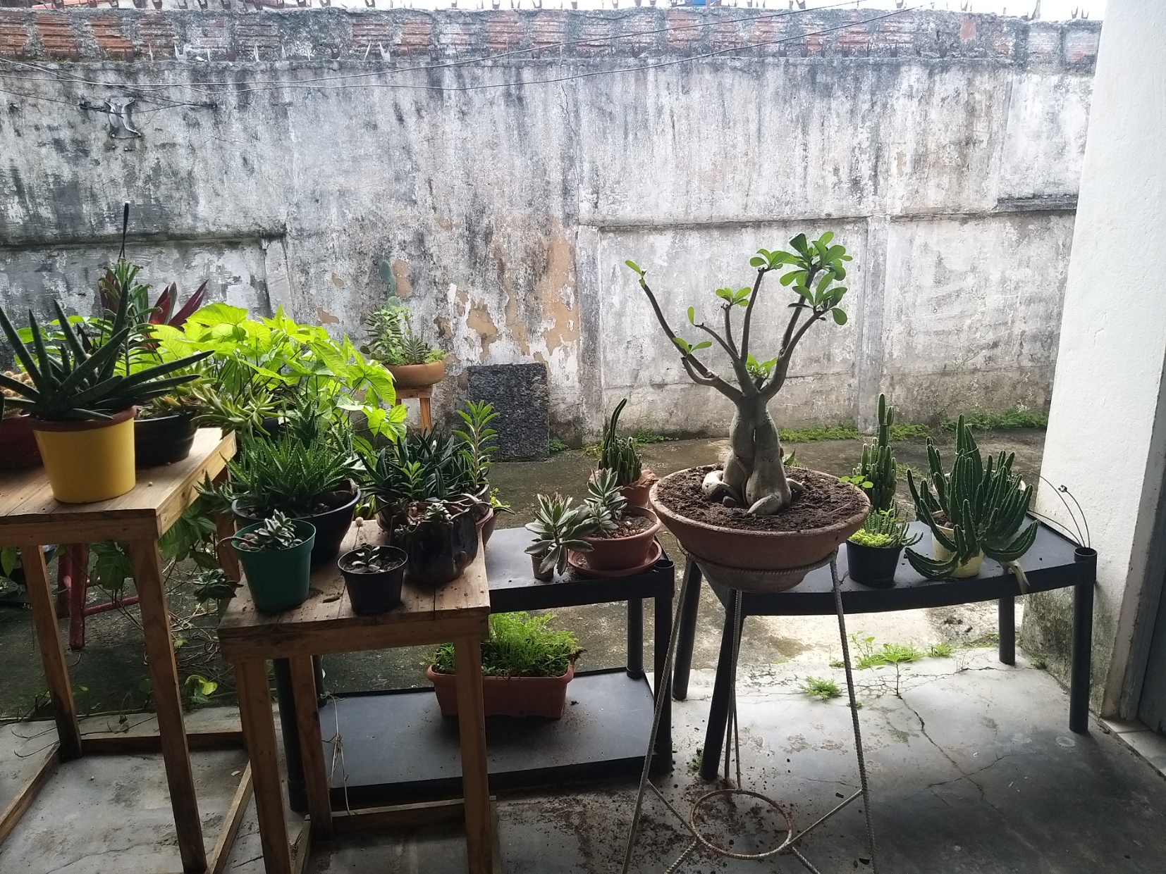 Foto do imóvel: Casa com 6 Quartos à Venda, 268 m² em Várzea - Recife