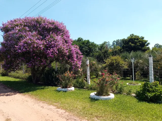 Imagem Chácara com 3 Quartos à Venda, 125 m²em Conceição - São Sebastião do Caí