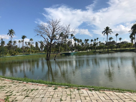 Terreno à Venda, 250 m² em Pecém - São Gonçalo do Amarante