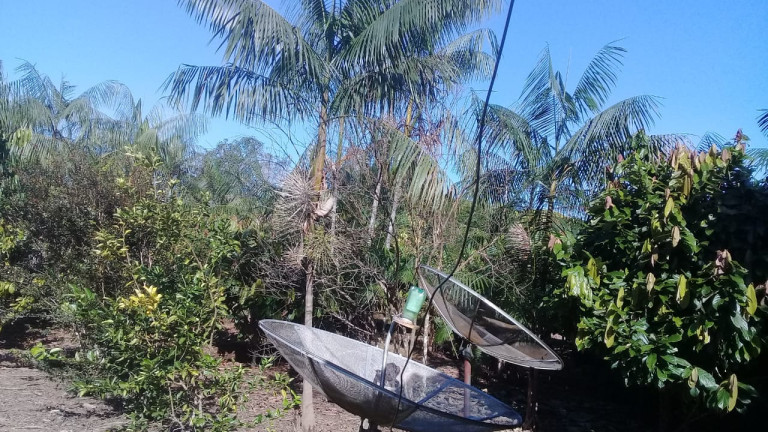 Imagem Terreno à Venda,  em Zona Rural - Humaitá