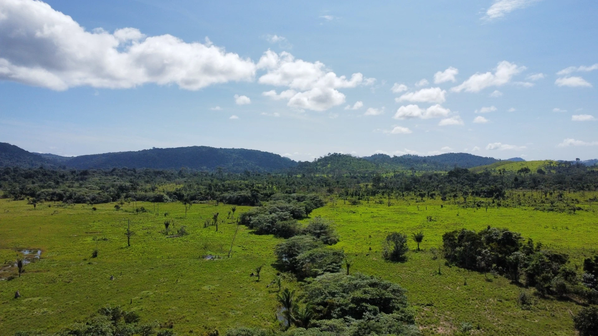 Foto do imóvel: Fazenda à Venda, 900 Alq. GO em São Félix do Xingu - São Félix do Xingu