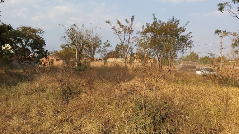 Imagem Terreno à Venda, 200 metros em Parque Novo Século - Campo Grande