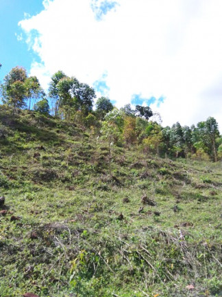 Imagem Terreno à Venda, 1.000 m² em Jardim Zaira - Mauá