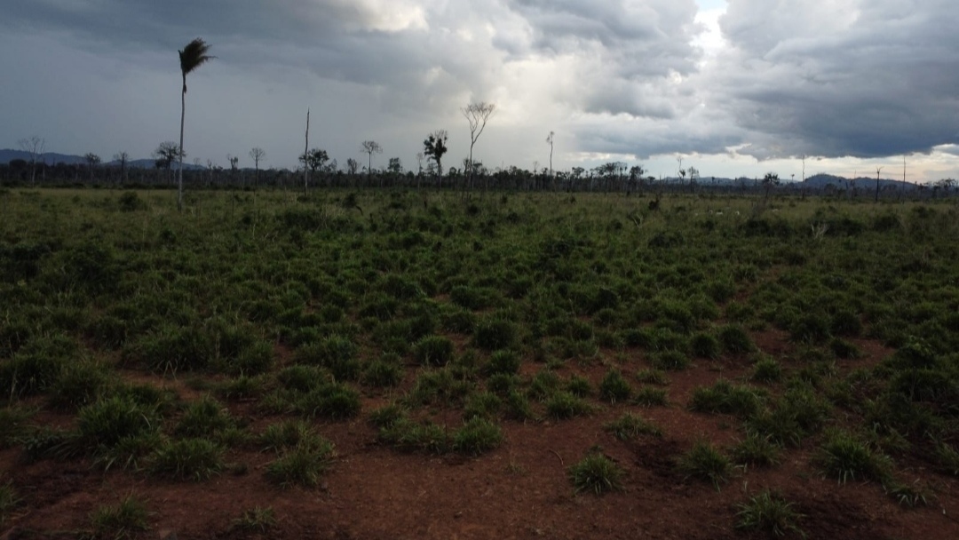 Foto do imóvel: Fazenda à Venda, 430 m² em Centro  - São Félix do Xingu