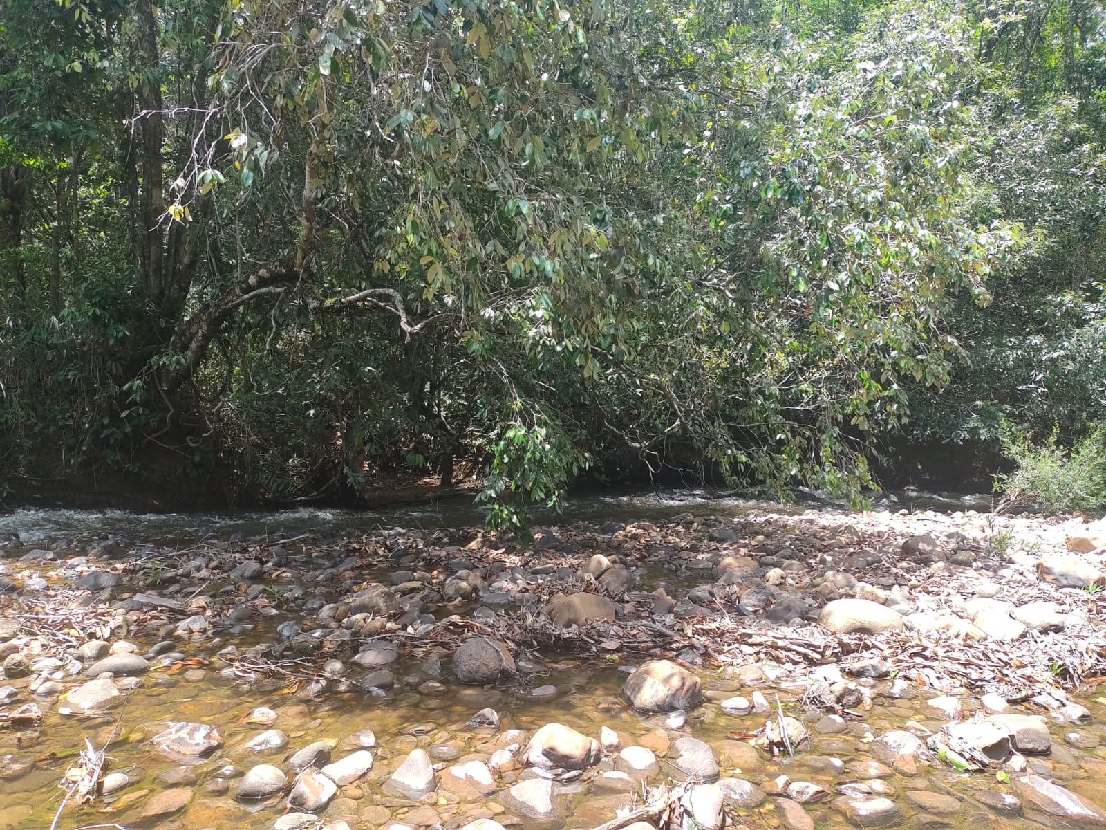 Fazenda à Venda, 6 HAem Moinho - Alto Paraíso de Goiás