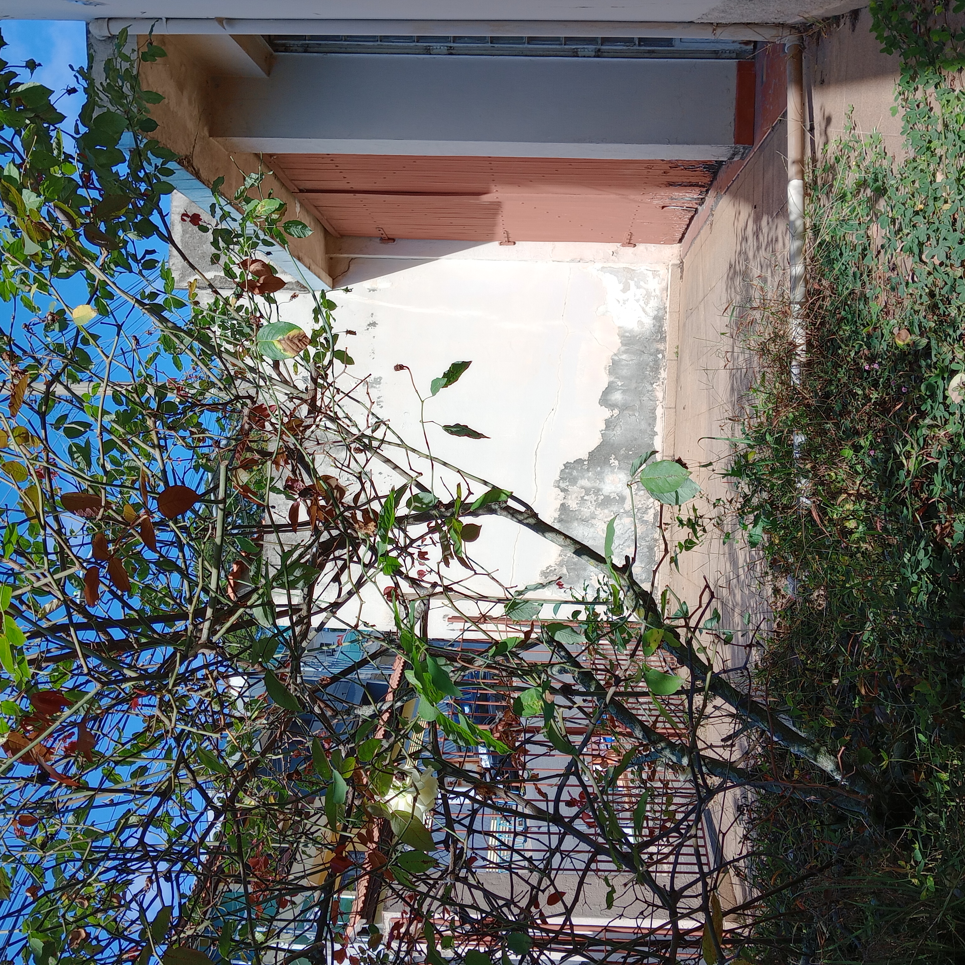 Imagem Casa com 2 Quartos à Venda, 126 m² em Parque Alves de Lima - São Paulo