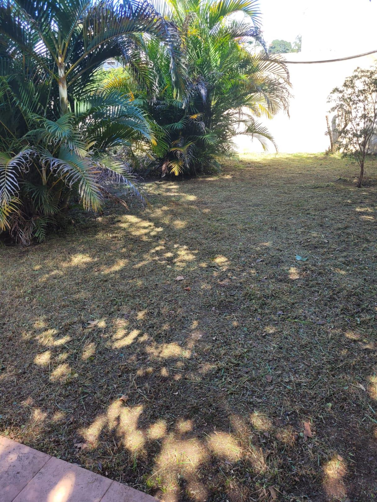Imagem Terreno à Venda, 384 m² em Campina do Siqueira - Curitiba