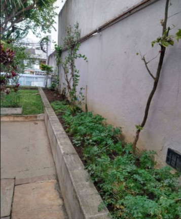 Imagem Apartamento com 3 Quartos à Venda,  em Vila Mariana - São Paulo