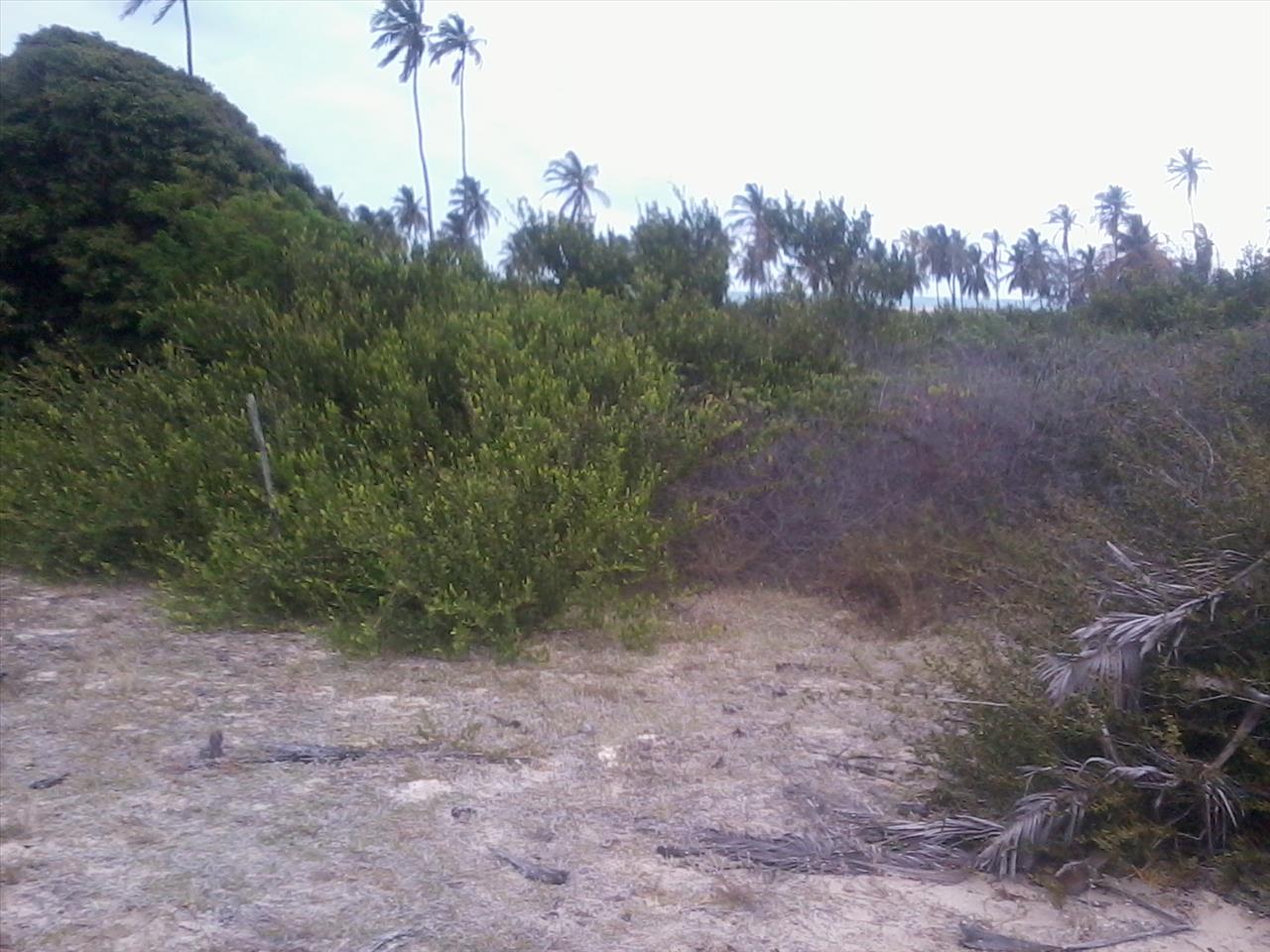 Imagem Terreno à Venda, 168.640 m² em Praia de Pititinga - Rio do Fogo