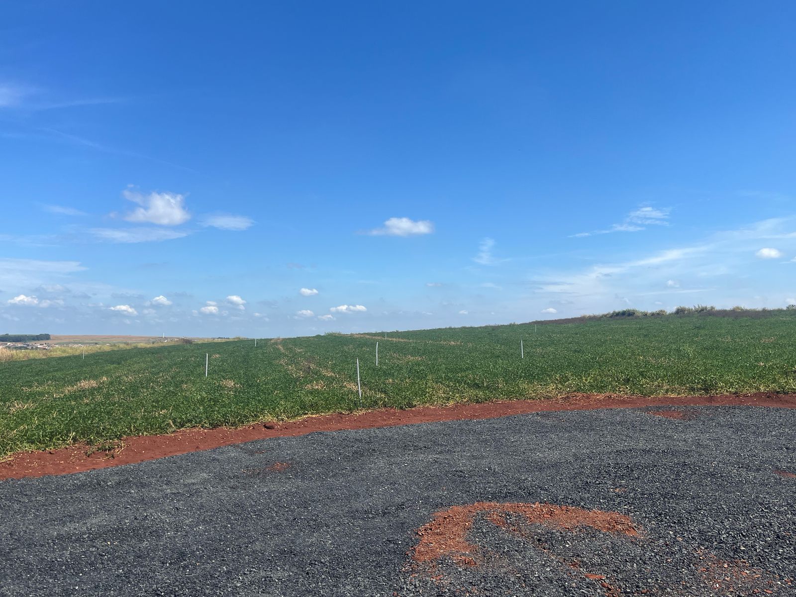 Imagem Terreno à Venda, 250 m² em Monte Carmelo - Cravinhos