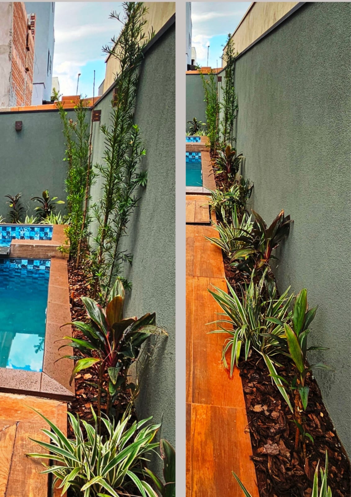 Imagem Casa com 3 Quartos à Venda, 169 m² em Portal da Mata - Ribeirão Preto